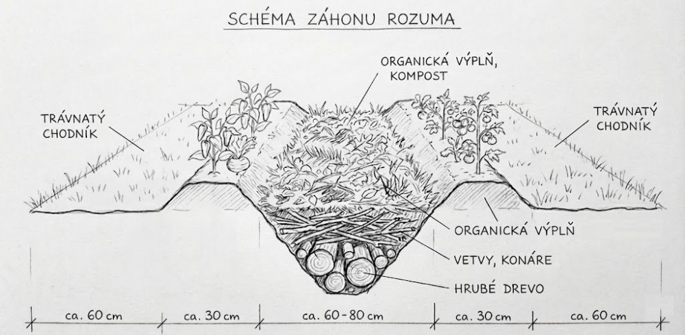 Záhon rozuma Záhon rozuma